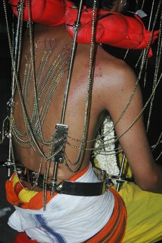 Kavadi bearer at Thaipusam event celebrating Lord Siva