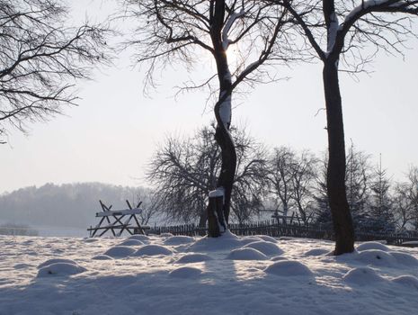 shadows on snow