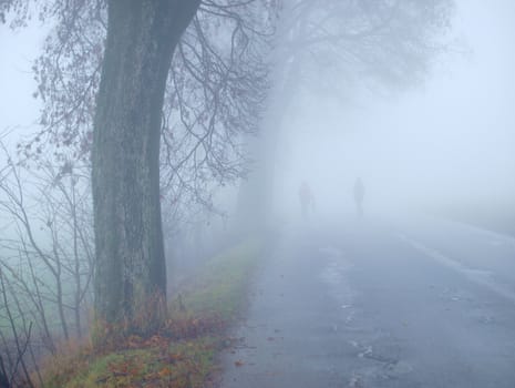 trip to the observatory in fog