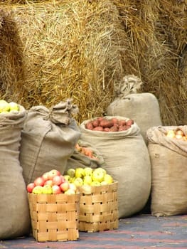 sacks of potatoes, apples,carrots,onion against the hay background