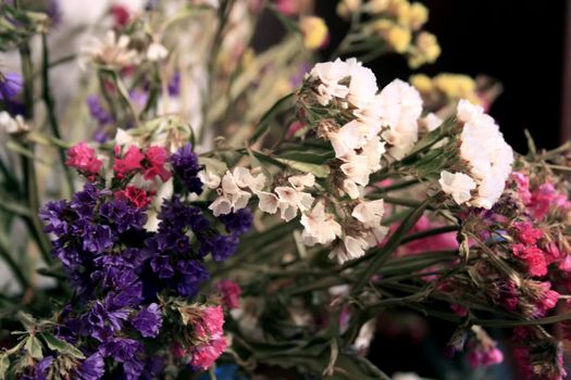dried many-coloured flowers, red, violet, white