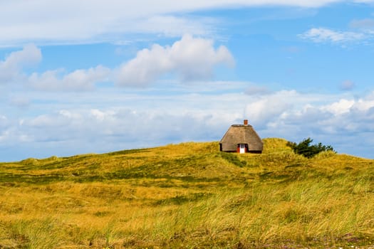 Lonesome cabin at the Danish coast