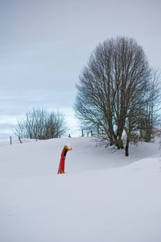 Winter season image from an farm