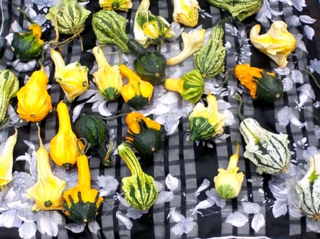 ornamental plants on the kerchief