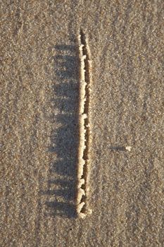 Letter written on wet sand