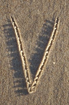 Letter written on wet sand