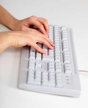 Female hands working with the computer keyboard