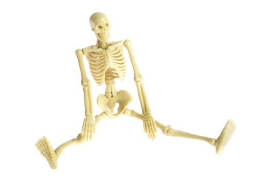 Sitting skeleton with a smile