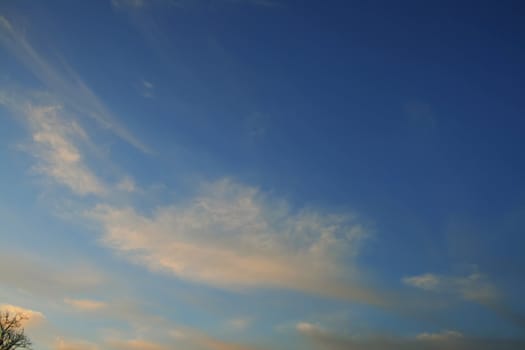 nice blue sky with clouds and the tree in left bottom corner