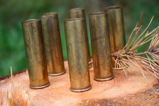 The hunting cartridges on a pine stub removed close up