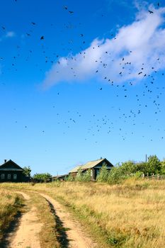 Sand road on village with birds in the sky