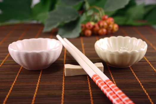 Set for a sushi on a bamboo napkin removed close up against green foliage
