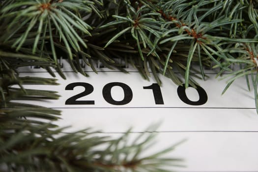 Calendar of 2010 framed with fur-tree branches removed close up
