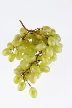 Cluster of white grapes removed close up. Not isolated