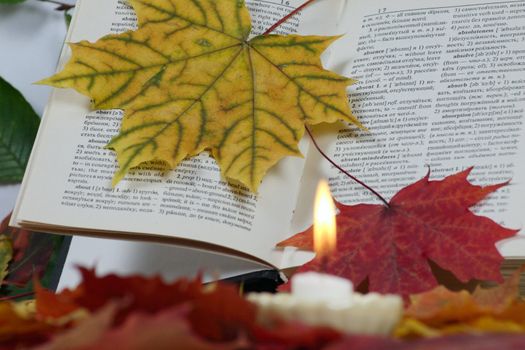 The book in autumn leaves with a candle removed close up