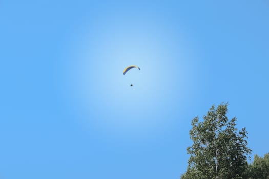 The paraglider pilot in the blue sky removed in the solar afternoon