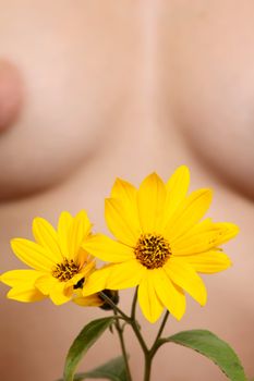 The bared torso of the girl with a yellow flower in the foreground