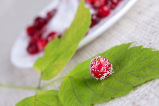 Cowberry berry sprinkled with sugar against a plate removed close up