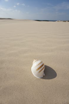 waves of sand - formed by wind and water