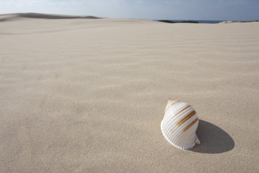 waves of sand - formed by wind and water