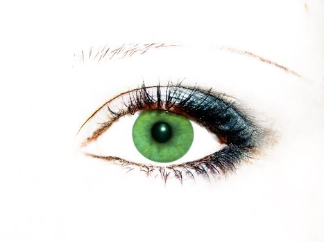 green women eye with evening blue make-up