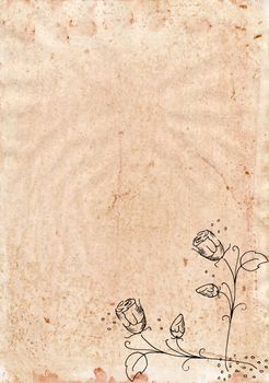 Old rugged paper with roses in corner