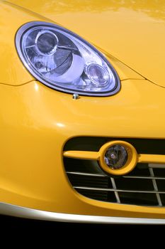 Headlight and cowl of the chic car