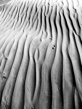 Close up of the Maspalomas sand dunes.