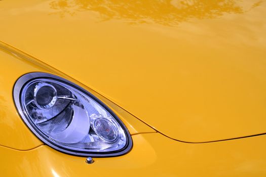 Headlight and cowl of the chic car
