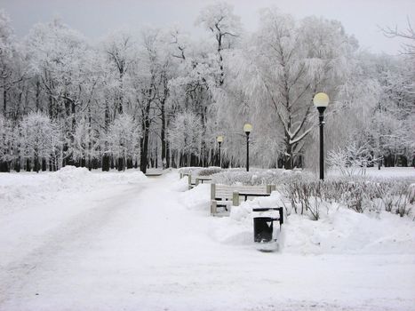 Snow covered benches and trees in park
