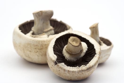 Close up of mushrooms over  white background