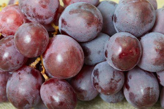 Cluster of red ripe grapes close up