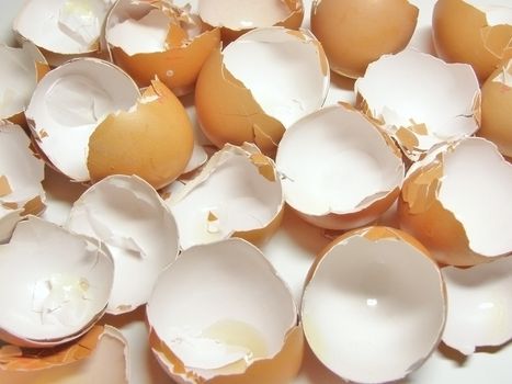 eggshell of brown eggs on the table