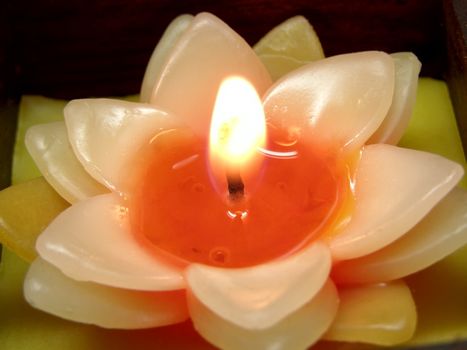 burning candle in the form of flower