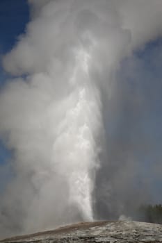 Old Faithful Geyser at peak of eruption under a big sky