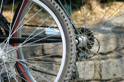 Overlapping bicycle wheels