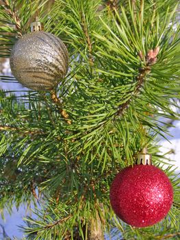 decoration balls on the christmas tree outdoor