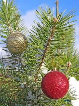 decoration balls on the christmas tree outdoor