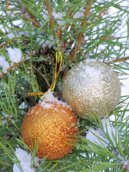 two decoration balls on the christmas tree outdoor