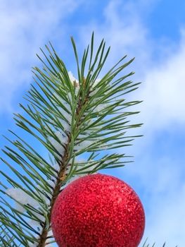Red decoration ball on the christmas tree outdoor