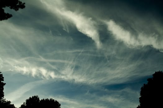 dramatic sky betwen trees
