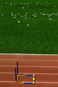 image of a fallen hurdle, symbol of a finished race
