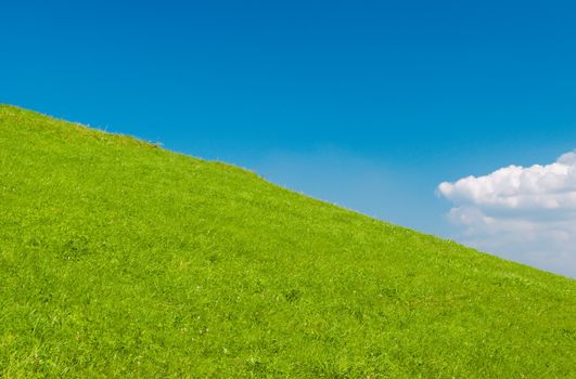 beautiful summer landscape.Beautiful Green Meadow

