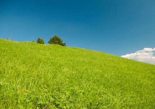 beautiful summer landscape.Beautiful Green Meadow  