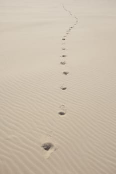 Waves of sand - formed by wind and water