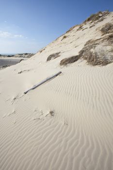 Waves of sand - formed by wind and water