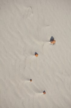 Waves of sand - formed by wind and water