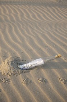 A clear glass bottle washed up on the beach