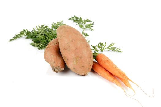 Bunch on raw crunchy carrots on a reflective white background