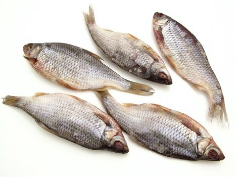 Five dry fishes on the white background    